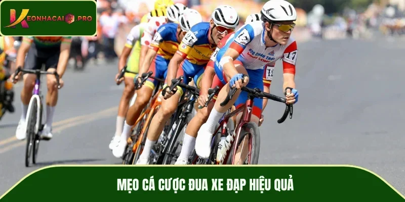 Mẹo cá cược đua xe đạp hiệu quả