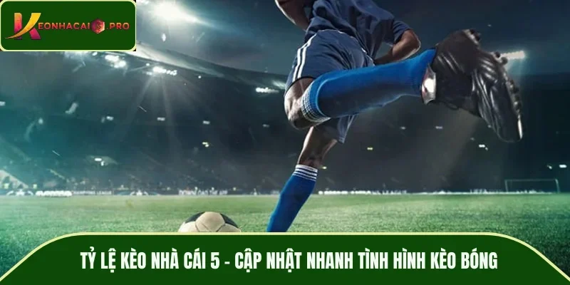 Tỷ lệ kèo nhà cái 5