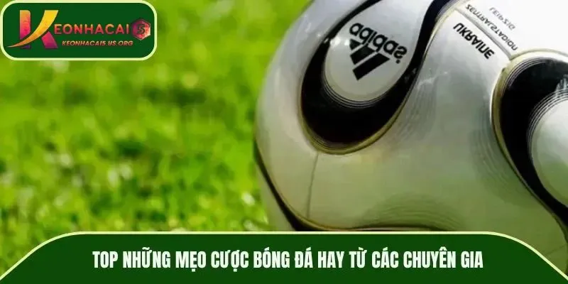 Mẹo dự đoán kèo bóng đá hay tại Keonhacai5.us.org