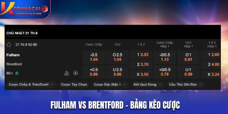 Soi kèo Fulham vs Brentford - bảng tỷ lệ cược